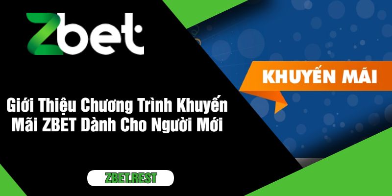 Giới Thiệu Chương Trình Khuyến Mãi ZBET Dành Cho Người Mới