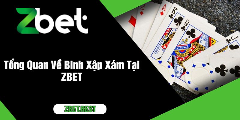 Tổng Quan Về Binh Xập Xám Tại ZBET